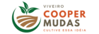 aplicac-a-o-colorida-modelo-2.png